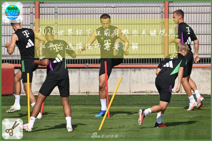 2026世界杯下注前有哪些关键规则和平台选择技巧需要了解