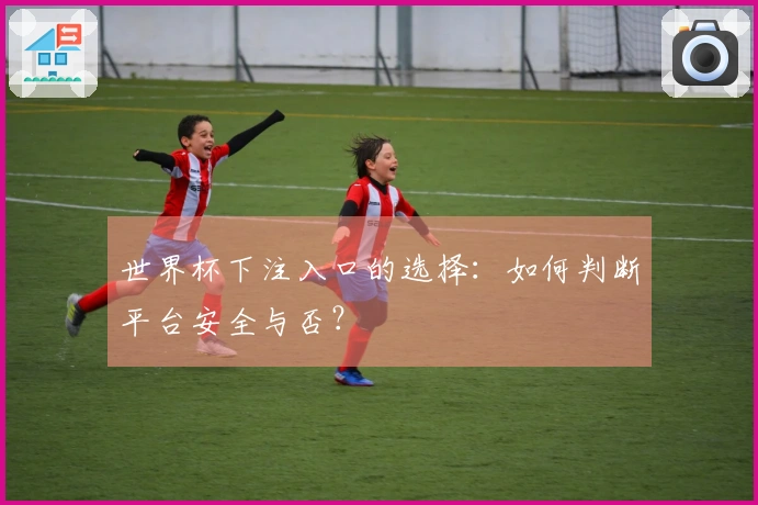 世界杯下注入口的选择：如何判断平台安全与否？