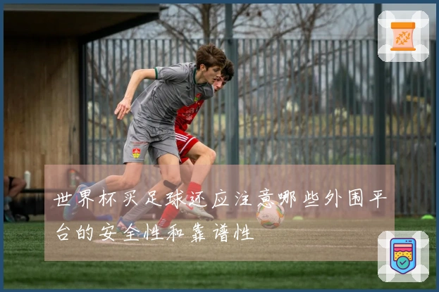世界杯买足球还应注意哪些外围平台的安全性和靠谱性