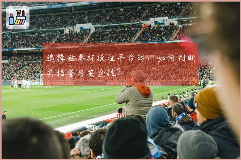 选择世界杯投注平台时，如何判断其信誉与安全性？