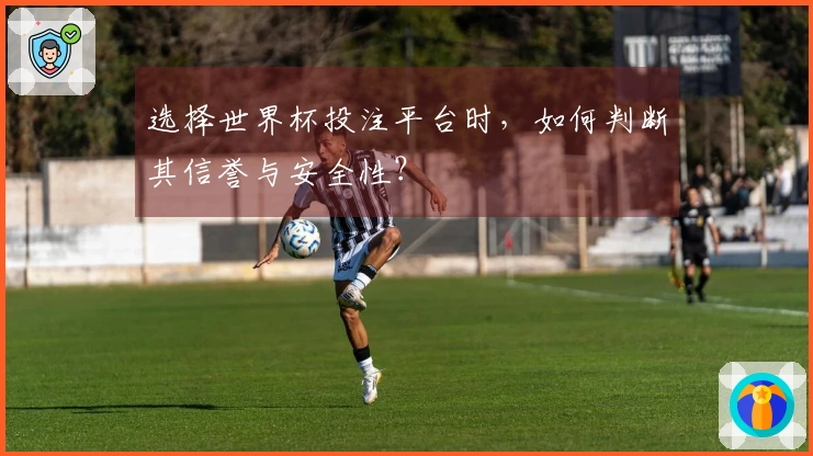 选择世界杯投注平台时，如何判断其信誉与安全性？