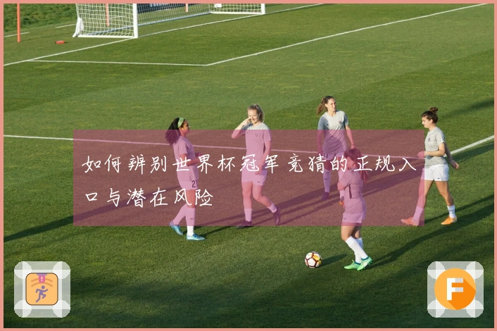 如何辨别世界杯冠军竞猜的正规入口与潜在风险