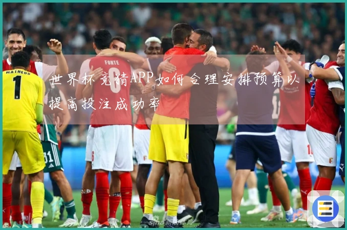 世界杯竞猜APP如何合理安排预算以提高投注成功率